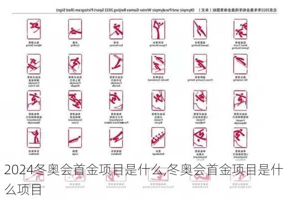冬奥会首金项目是什么,冬奥会首金项目是什么项目