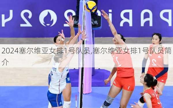 塞尔维亚女排1号队员,塞尔维亚女排1号队员简介
