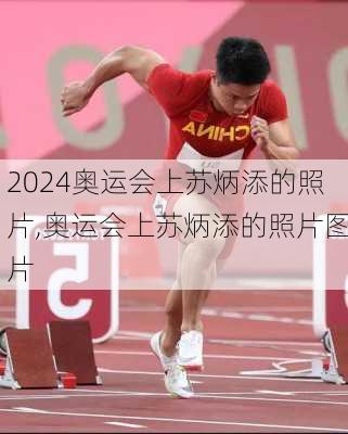奥运会上苏炳添的照片,奥运会上苏炳添的照片图片