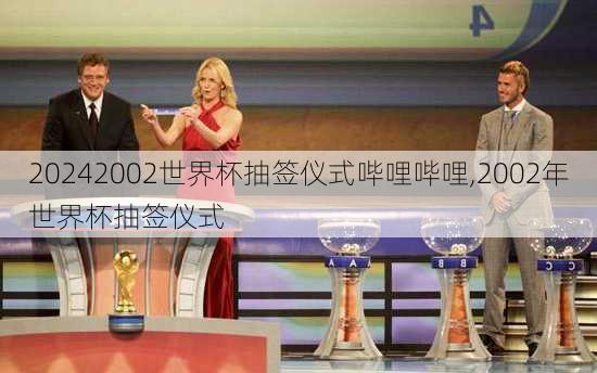 2002世界杯抽签仪式哔哩哔哩,2002年世界杯抽签仪式
