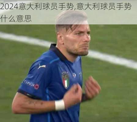 意大利球员手势,意大利球员手势什么意思