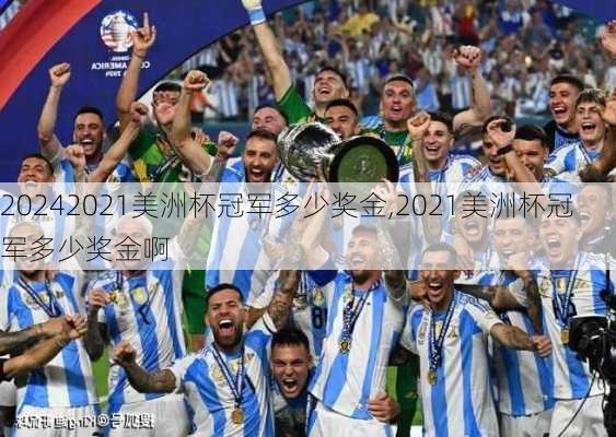 2021美洲杯冠军多少奖金,2021美洲杯冠军多少奖金啊