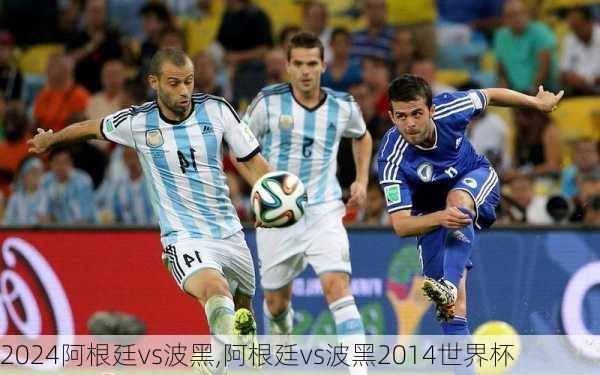 阿根廷vs波黑,阿根廷vs波黑2014世界杯