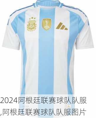 阿根廷联赛球队队服,阿根廷联赛球队队服图片