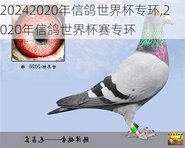 2020年信鸽世界杯专环,2020年信鸽世界杯赛专环