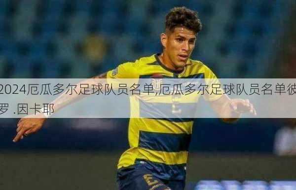 厄瓜多尔足球队员名单,厄瓜多尔足球队员名单彼罗 .因卡耶