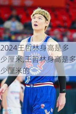 王哲林身高是多少厘米,王哲林身高是多少厘米的