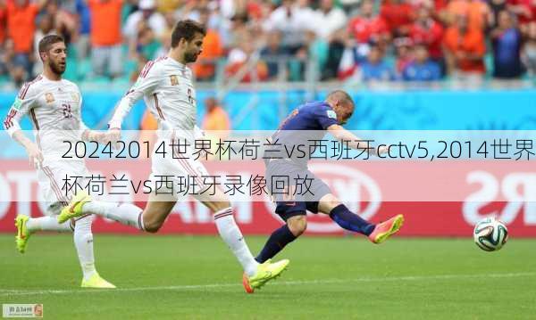 2014世界杯荷兰vs西班牙cctv5,2014世界杯荷兰vs西班牙录像回放