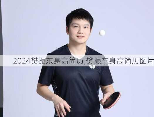 樊振东身高简历,樊振东身高简历图片