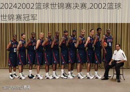 2002篮球世锦赛决赛,2002篮球世锦赛冠军