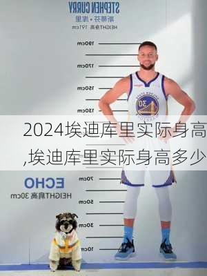 埃迪库里实际身高,埃迪库里实际身高多少
