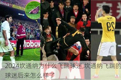 坎通纳为什么飞踹球迷,坎通纳飞踹的球迷后来怎么样了