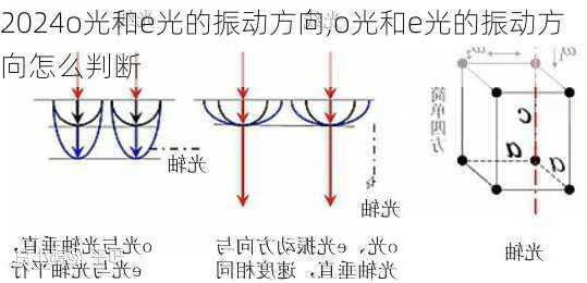 o光和e光的振动方向,o光和e光的振动方向怎么判断