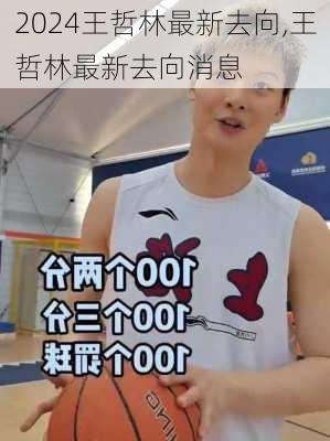 王哲林最新去向,王哲林最新去向消息
