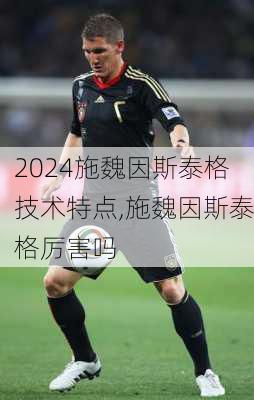 施魏因斯泰格技术特点,施魏因斯泰格厉害吗