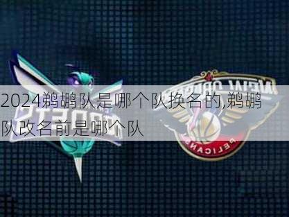 鹈鹕队是哪个队换名的,鹈鹕队改名前是哪个队