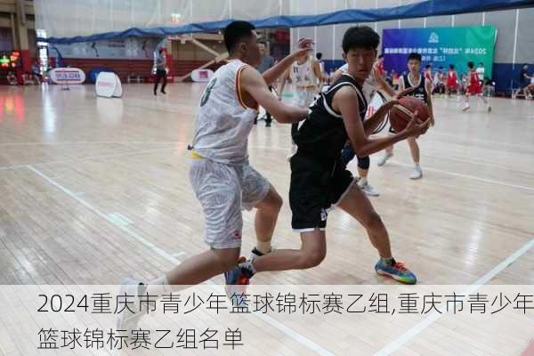 重庆市青少年篮球锦标赛乙组,重庆市青少年篮球锦标赛乙组名单