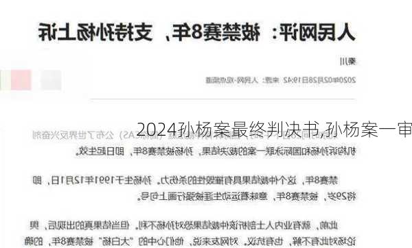 孙杨案最终判决书,孙杨案一审