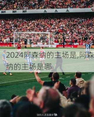 阿森纳的主场是,阿森纳的主场是哪