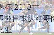 日本对哥伦比亚2018世界杯,2018世界杯日本队对哥伦比亚