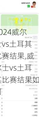 威尔士vs土耳其比赛结果,威尔士vs土耳其比赛结果如何