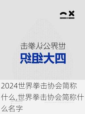 世界拳击协会简称什么,世界拳击协会简称什么名字