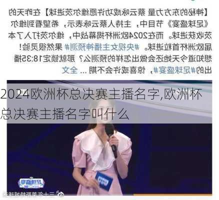 欧洲杯总决赛主播名字,欧洲杯总决赛主播名字叫什么