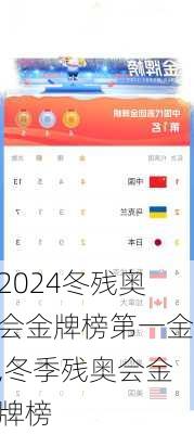 冬残奥会金牌榜第一金,冬季残奥会金牌榜