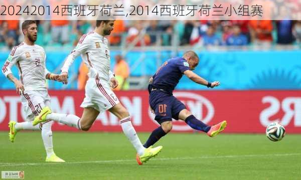 2014西班牙荷兰,2014西班牙荷兰小组赛