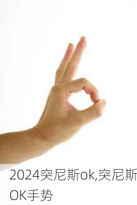 突尼斯ok,突尼斯OK手势
