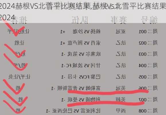 赫根VS北雪平比赛结果,赫根vs北雪平比赛结果2024