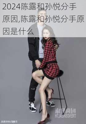 陈露和孙悦分手原因,陈露和孙悦分手原因是什么