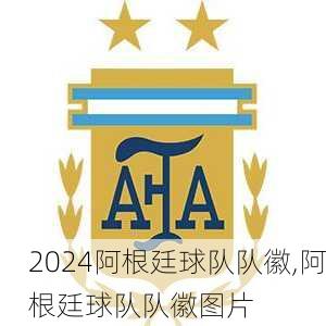 阿根廷球队队徽,阿根廷球队队徽图片