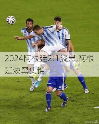 阿根廷2:1波黑,阿根廷波黑集锦