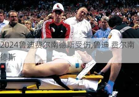 鲁迪费尔南德斯受伤,鲁迪 费尔南德斯