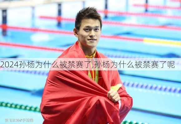 孙杨为什么被禁赛了,孙杨为什么被禁赛了呢