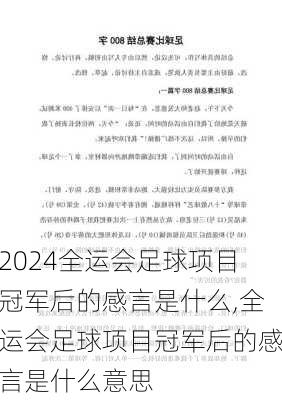 全运会足球项目冠军后的感言是什么,全运会足球项目冠军后的感言是什么意思