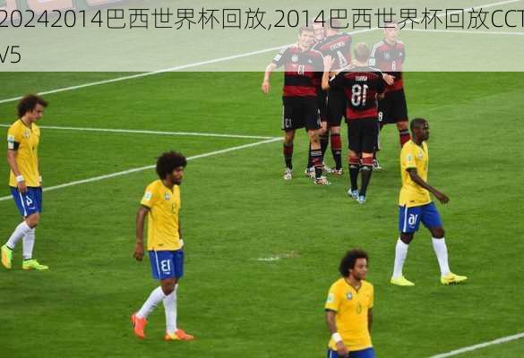 2014巴西世界杯回放,2014巴西世界杯回放CCTV5