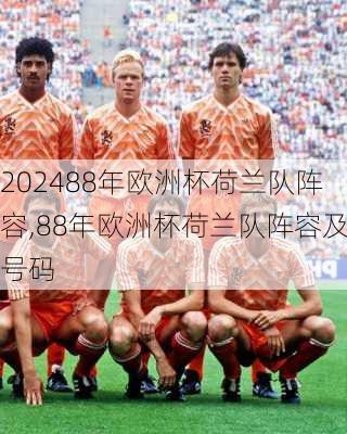 88年欧洲杯荷兰队阵容,88年欧洲杯荷兰队阵容及号码