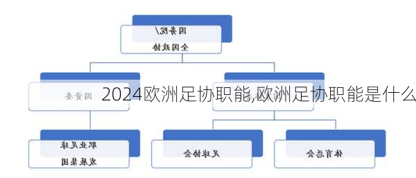 欧洲足协职能,欧洲足协职能是什么