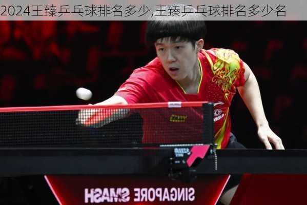 王臻乒乓球排名多少,王臻乒乓球排名多少名