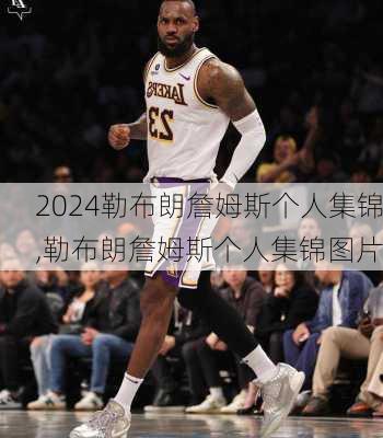 勒布朗詹姆斯个人集锦,勒布朗詹姆斯个人集锦图片