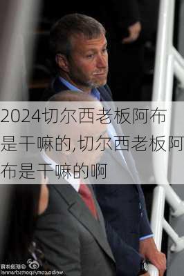 切尔西老板阿布是干嘛的,切尔西老板阿布是干嘛的啊