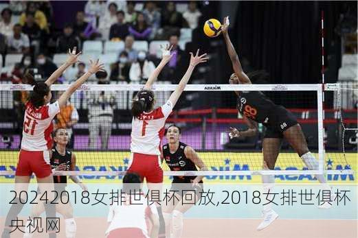 2018女排世俱杯回放,2018女排世俱杯央视网