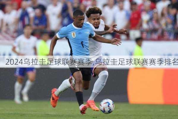 乌拉圭足球联赛赛季,乌拉圭足球联赛赛季排名