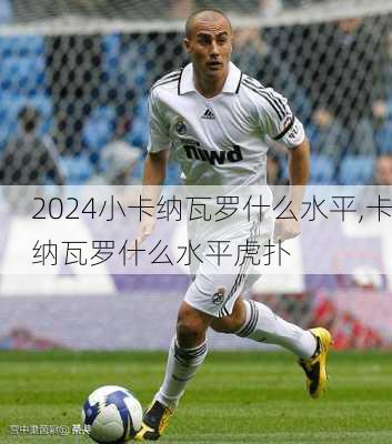 小卡纳瓦罗什么水平,卡纳瓦罗什么水平虎扑