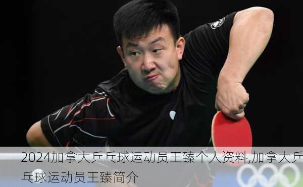 加拿大乒乓球运动员王臻个人资料,加拿大乒乓球运动员王臻简介