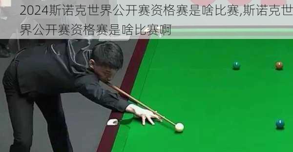 斯诺克世界公开赛资格赛是啥比赛,斯诺克世界公开赛资格赛是啥比赛啊