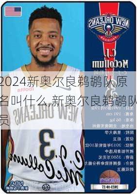 新奥尔良鹈鹕队原名叫什么,新奥尔良鹈鹕队员