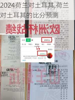 荷兰对土耳其,荷兰对土耳其的比分预测